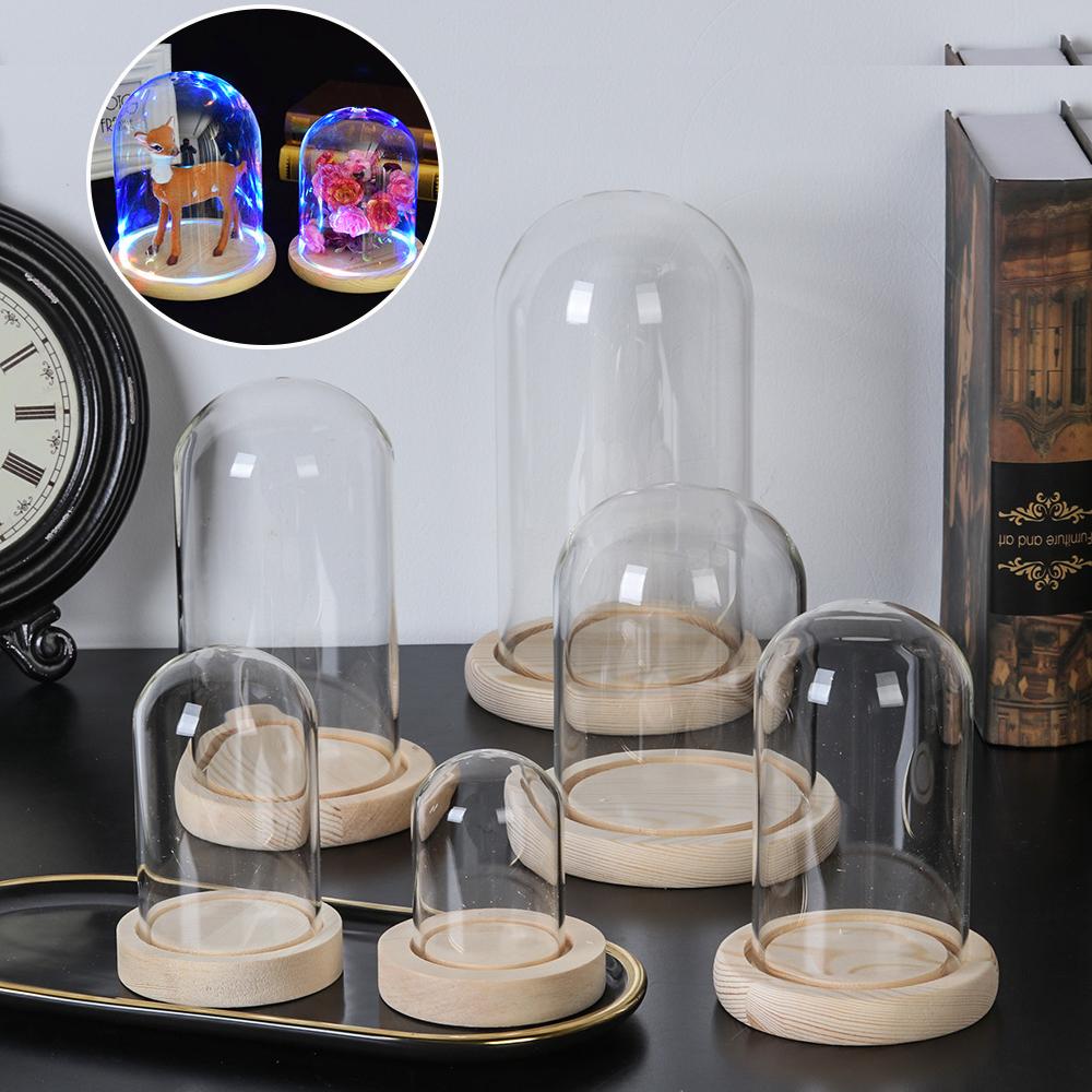 Reusable Bottle - Terrario de mesa con luces de