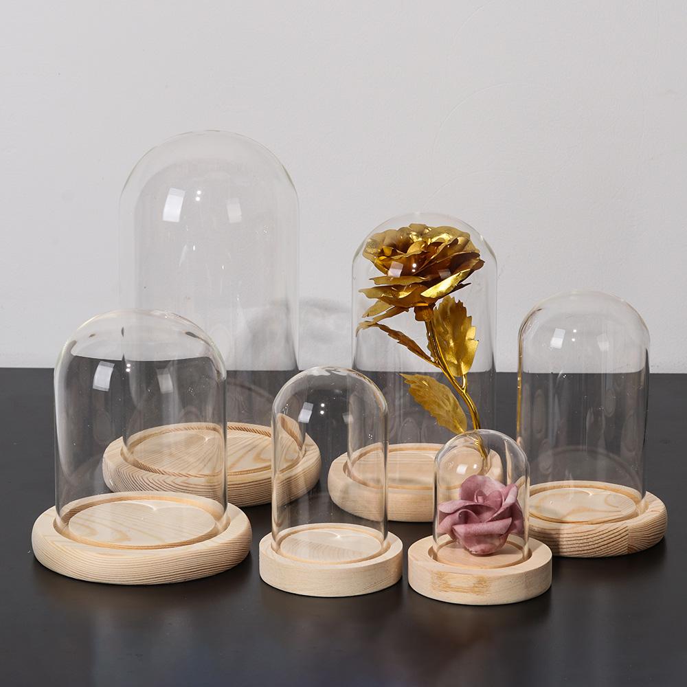 Terrario de mesa con luces de  - Reusable Bottle reseña y precio