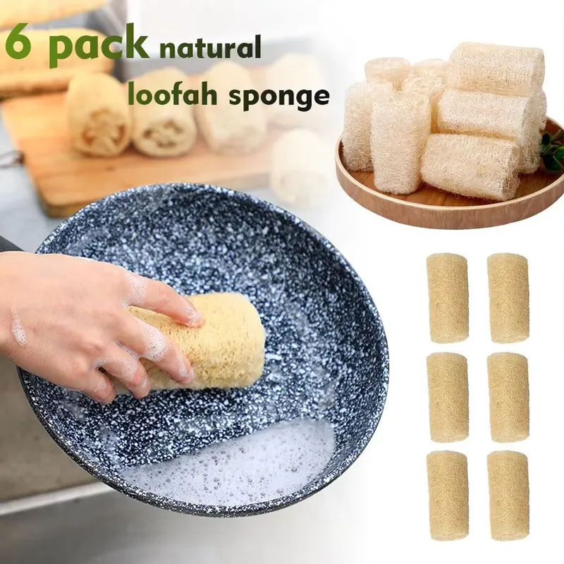Cepillo de Luffa Natural para  - Eco Sponge reseña y precio